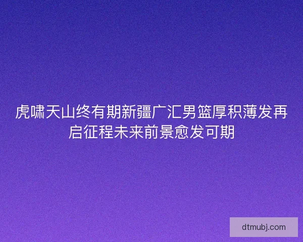 虎啸天山终有期新疆广汇男篮厚积薄发再启征程未来前景愈发可期