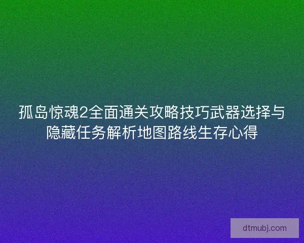 孤岛惊魂2全面通关攻略技巧武器选择与隐藏任务解析地图路线生存心得